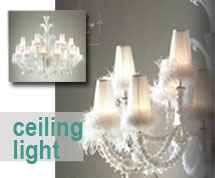 Ceiling Light